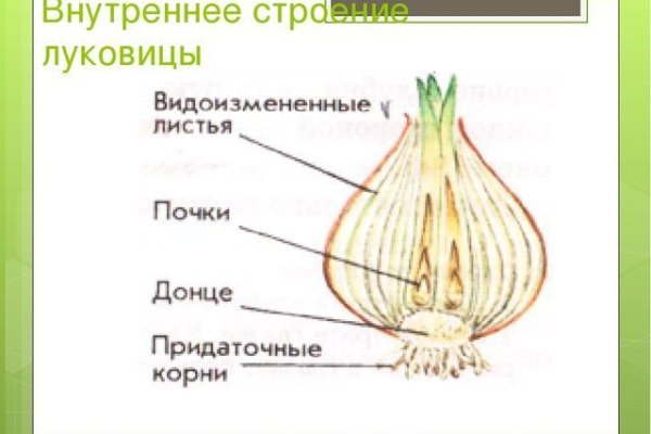 Правильная ссылка на кракен